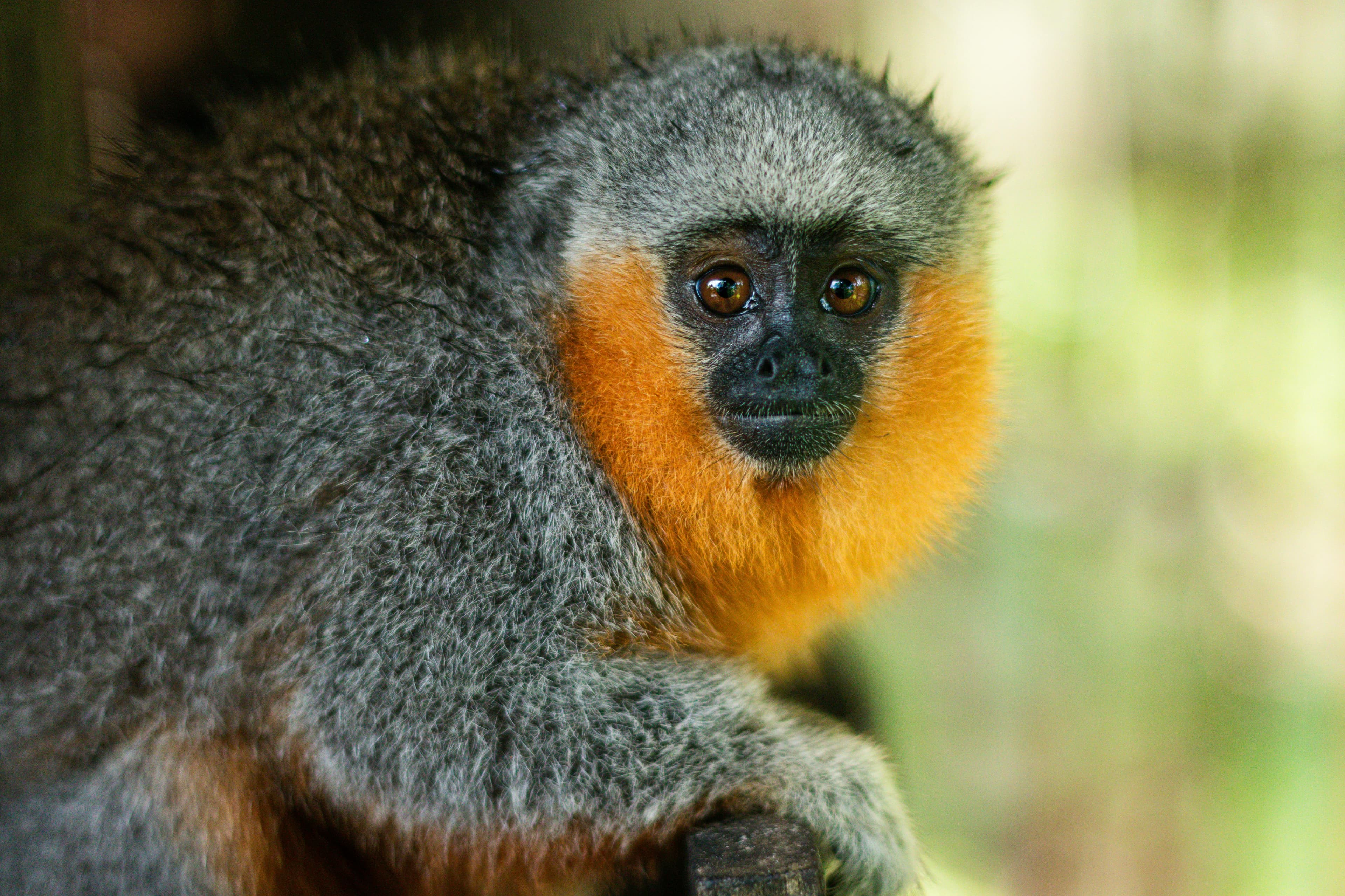 Lugares para viajar em Alter do Chão - Roteiros para casais
