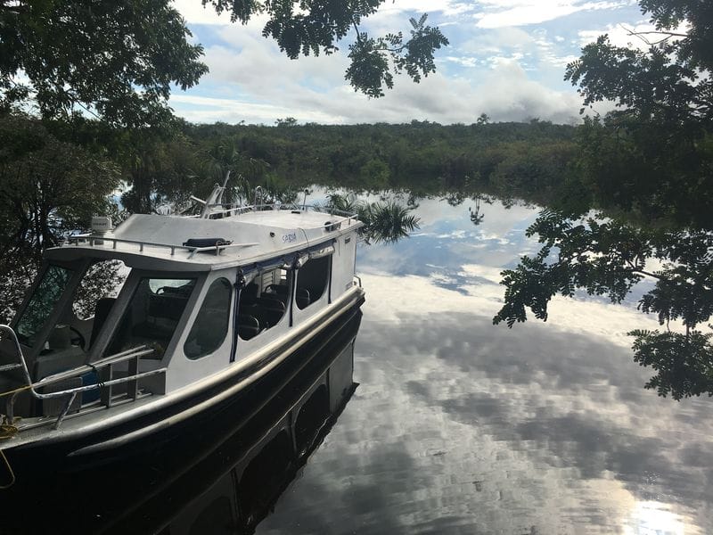 Foto de Floresta Encantada do Caranazal, atração em Alter do Chão