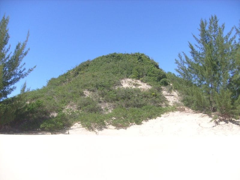 Foto de Amo Garopaba, atração em Garopaba