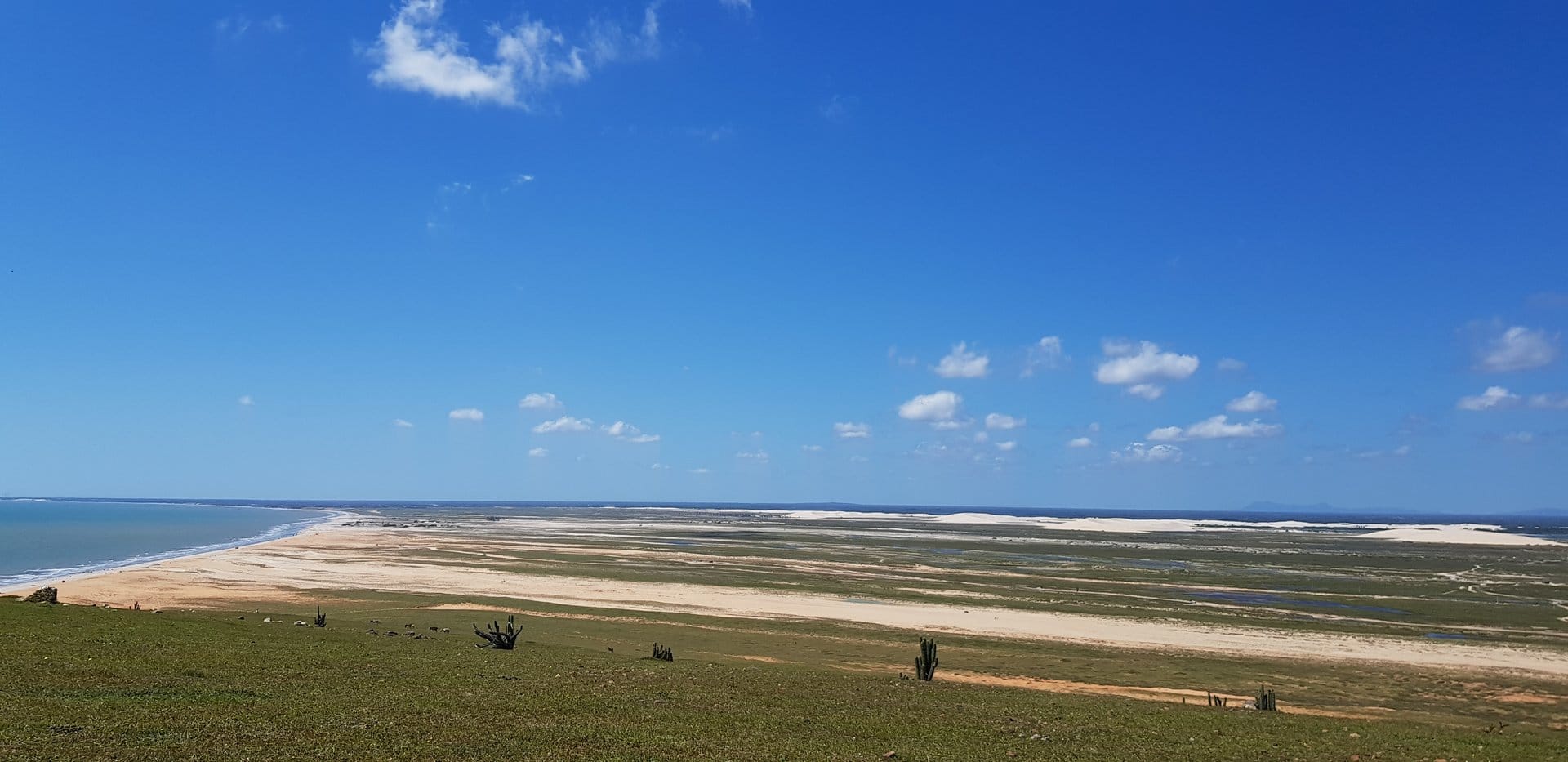 Foto de Caranguejo da Villa, restaurante em Jericoacoara