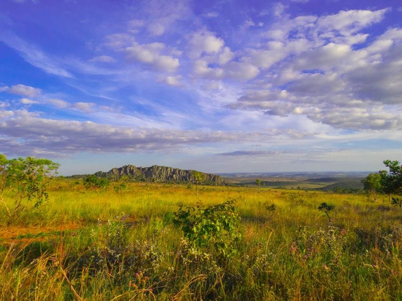 Foto de Fazenda Vagafogo Santuário de Vida Silvestre, atração em Pirenópolis