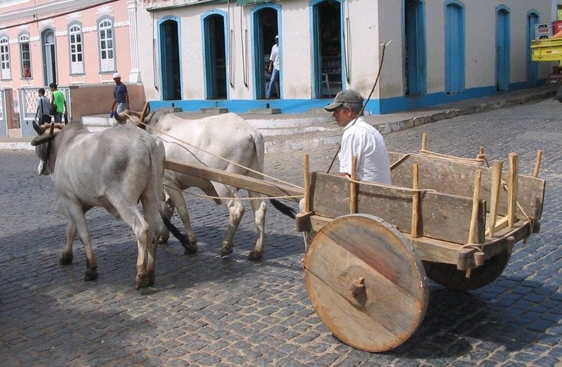 Foto de Museu Rodas do Tempo, atração em Pirenópolis